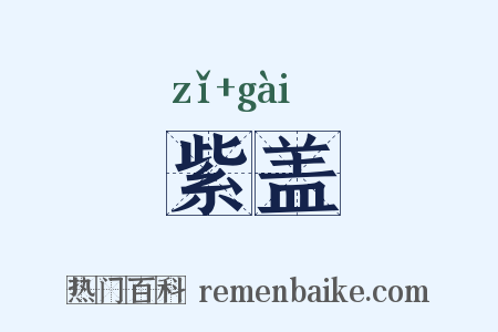 紫盖是什么意思的图片